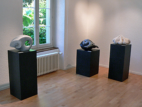 Insight - feldegg93, Zürich, Mai/Juni 2011